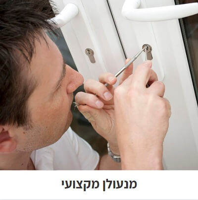 מנעולן מקצועי